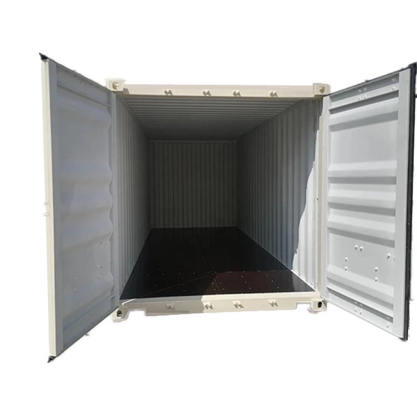 Новый 20-футовый сухогрузный контейнер.